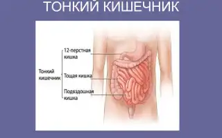Диагноз синдром избыточного бактериального роста
