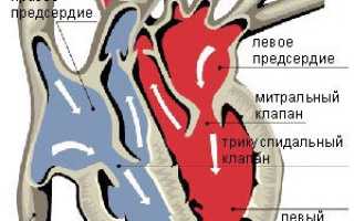 Код по мкб q24