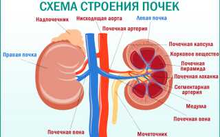 Синдром острой почечной и печеночной недостаточности